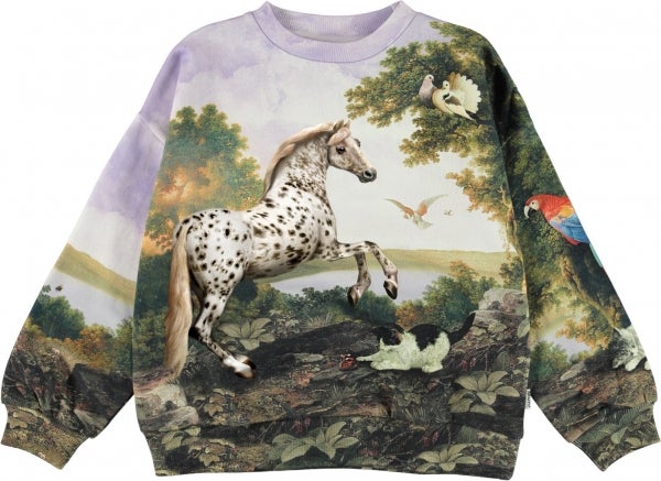 Molo Kids - Sweatshirt, Mika Poetic Landscape